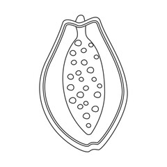 Vector papaya silhouette and outline. Minimalistic contour design of tropical fruit