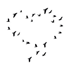 Birds are circling around the heart