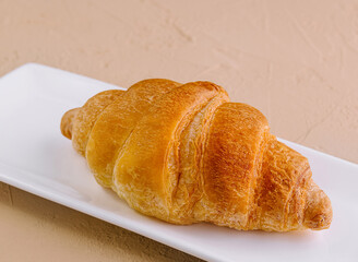 Fresh golden croissant on white plate