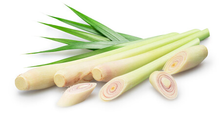 Fresh lemongrass or Cymbopogon grass stems and slices isolated on white background. Clipping paths.