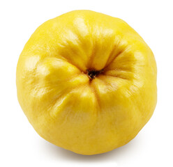 Bottom view of ripe apple quince on white background. File contains clipping path.