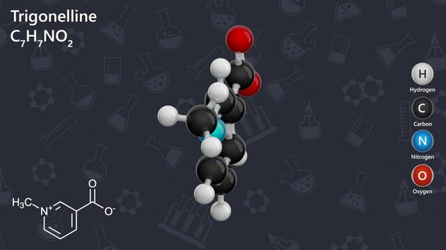 Molecule of Trigonelline (C7H7NO2), is a naturally occurring alkaloid found in coffee beans. Its a metabolite of niacin and contributes to the aroma and flavor of coffee. Dark back. 3d render