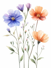 watercolor floral bouquet isolated on a white background 
