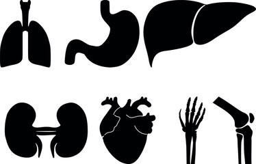 Icons of human organs