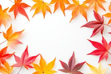 Arrangement of dried leaves. White background. Top view. Flat lay.