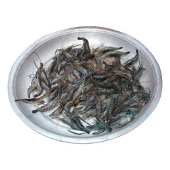 Fresh Prawn Stock Photos