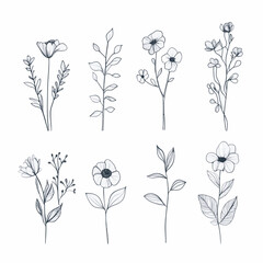 set of black and white flowers