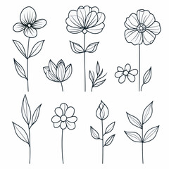 set of black and white flowers