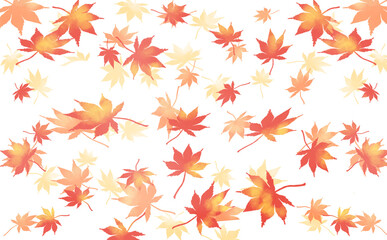 Fototapeta premium 美しい紅葉のもみじやカエデのパターン模様の背景壁紙★透過素材