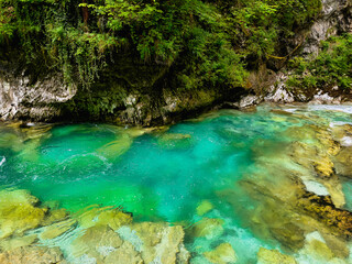 clear turquoise river. calm water. canyon. greenery. Vintgar Gorge. Slovenia