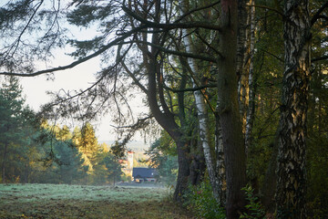 łąka,drzewa © Marcin Łazarczyk
