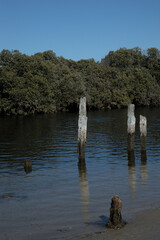 Old Pier Pillars