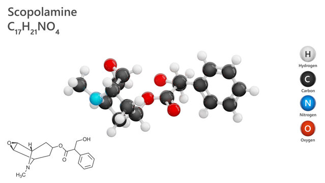 Scopolamine (C17H21NO4) is a tropane alkaloid derived from plants Atropa belladonna. It functions as an anticholinergic agent, helps prevent motion sickness and nausea. White back. 3d illustration