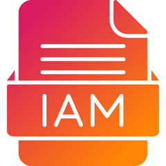 IAM File Format Vector Icon Design