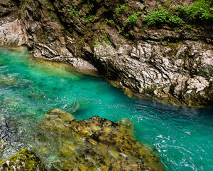 clear turquoise river. calm water. canyon. greenery. Vintgar Gorge. Slovenia