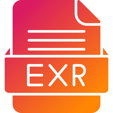 EXR File Format Vector Icon Design