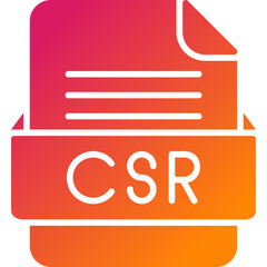 CSR File Format Vector Icon Design