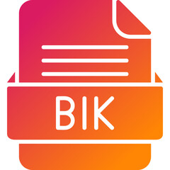 BIK File Format Vector Icon Design