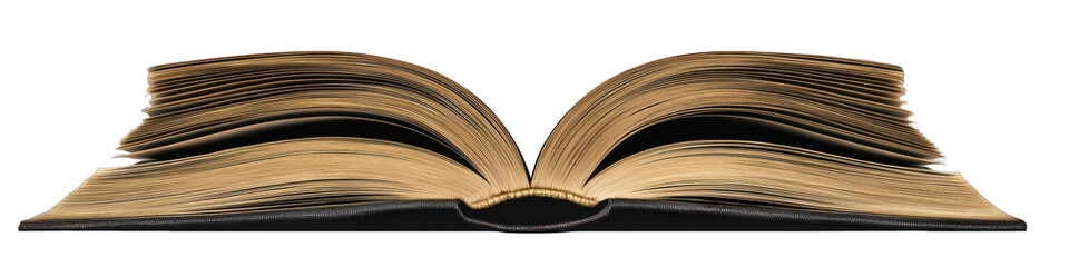 Clear background featuring an open book, shown isolated for detailed viewing.