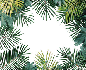 Flat lay of tropical leaves with a blank middle, ideal for mock-up designs.