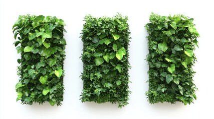 Naklejka premium Set of three vertical garden walls with greenery on an isolated white background