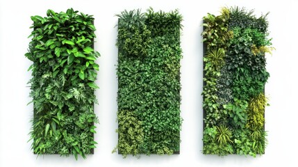 Naklejka premium Three garden walls filled with greenery isolated on plain white backdrop