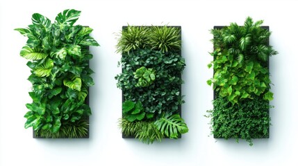 Obraz premium Three unique green garden walls with lush plants isolated on clean white backdrop