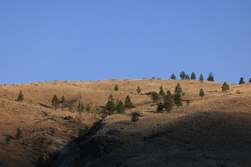 dry, unforested grass hills in Cache creeck, British Columbia