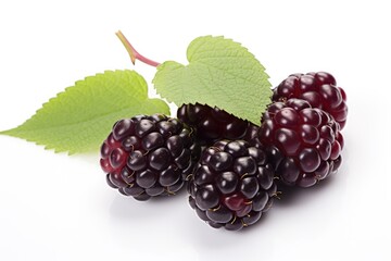 Fresh Boysenberry with Green Leaves on White Background