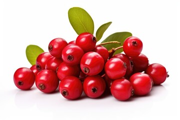 Obraz premium Fresh Lingonberries on White Background