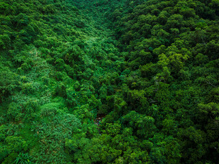 Aerial view of beautiful tropical forest mountain landscape in summer