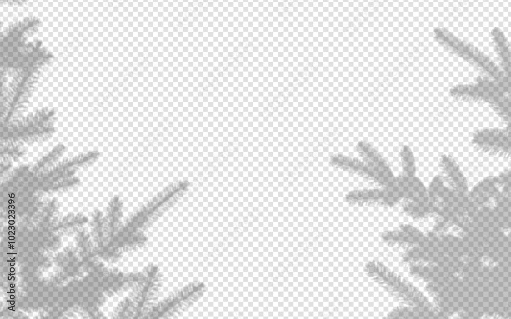 Wall mural shadow overlay from a pine tree isolated on a transparent background.