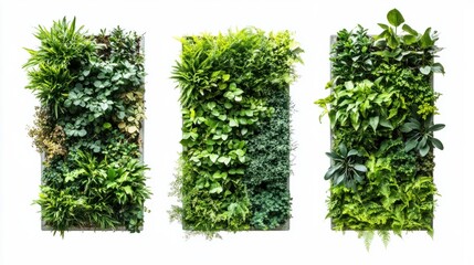 Obraz premium Trio of green garden walls filled with plants against isolated white background