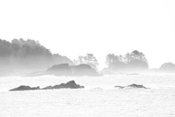 black and white picture of foggy Longbeach, Vancouver Island