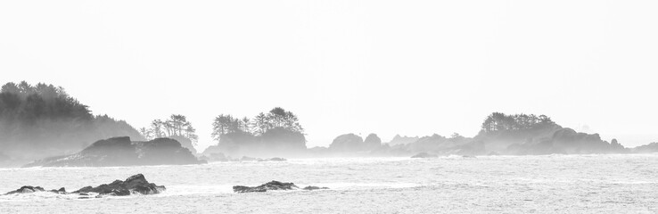 black and white picture of foggy Longbeach, Vancouver Island