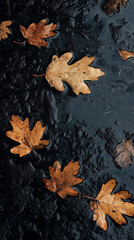 Autumn wallpaper for mobile phone. 