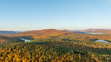 Expansive aerial view of a vibrant autumn forest with a small mist-covered lake, surrounded by rolling hills under a clear blue sky.