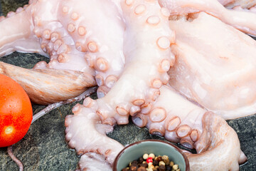 Fototapeta premium Fresh raw octopus cuttlefish ocean gourmet