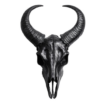 A black evil cow skull with long curved horns on an isolated background