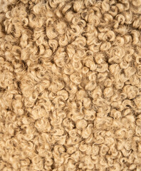Wool fabric. Sheep wool. Camel wool.
