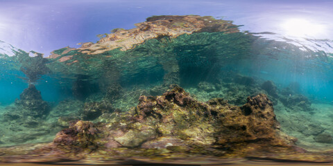 Obraz premium A detailed 360-degree view of underwater coral formations with sunlight shining from above, creating a bright and colorful marine scene. The rocky structures enhance the natural beauty of the reef.