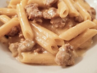 short pasta with sausage and cheese sauce. Italian cuisine