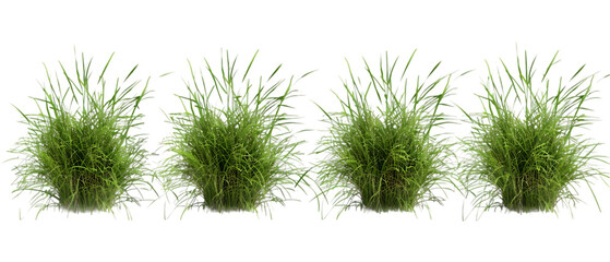 Fototapeta premium grass background png transparent background