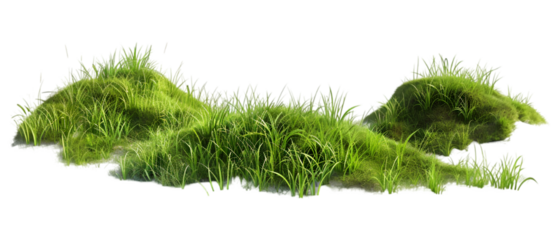 grass hills png transparent background