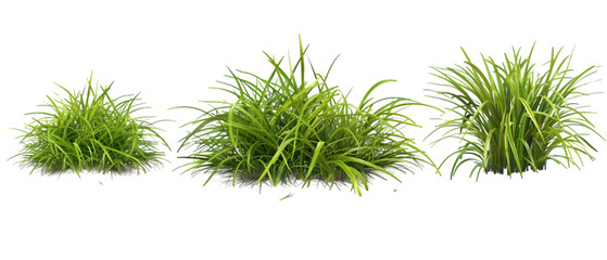 clipart grass png transparent background