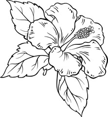 Hibiscus Branch with Flowers and Leaves Outline Illustration. © cuttlefish84