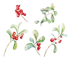 Christmas watercolor set of bouquet arrangings with berries and leaves