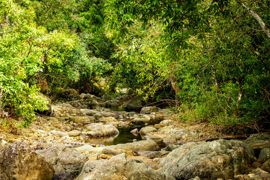 Beautiful view of the rough riverbed of a small stream flowing through the forest and wildlife reserve in Vallée de Ferney, Mauritius - Powered by Adobe