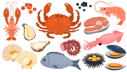 Cartoon raw seafood. Sea fish gourmet food, crayfish squid shrimp salmon crab trout shellfish, lobster, ocean red meat recipe, healthy meal fresh tuna neat. Vector illustration isolated 