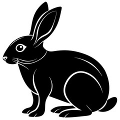 black and white rabbit